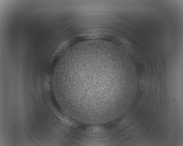 X0000058810503200510031350