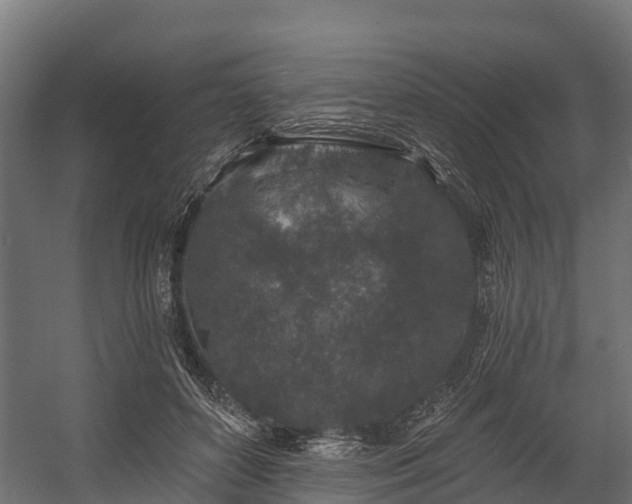 X0000058810504200510031350