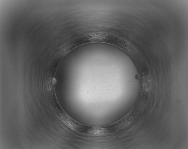 X0000058810514200510031350