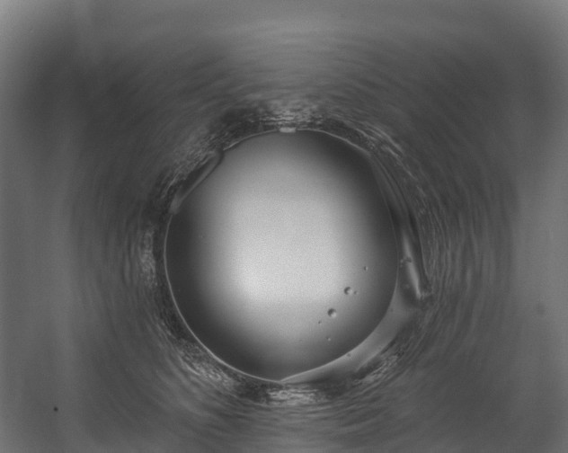 X0000058810516200510031350