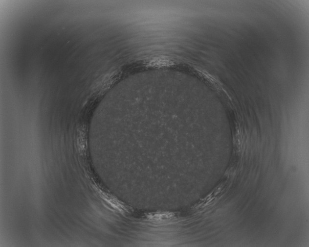 X0000058810517200510031350