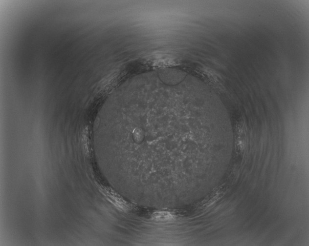 X0000058810519200510031350