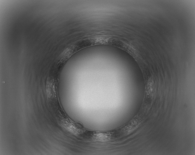 X0000058810522200510031350