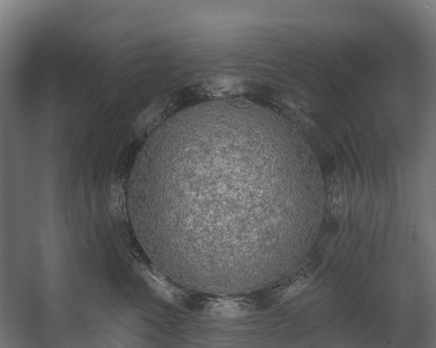 X0000058810523200510031350