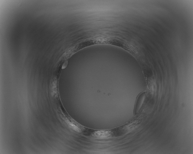 X0000058810526200510031350