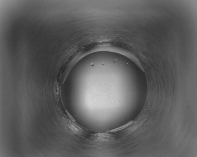 X0000058810528200510031350