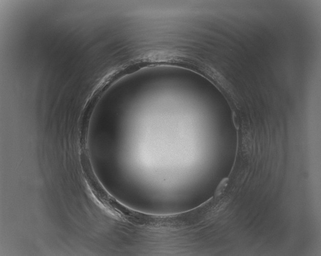 X0000058810530200510031349