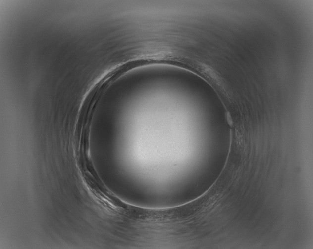 X0000058810532200510031349