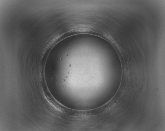 X0000058810533200510031349