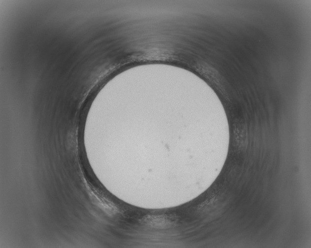 X0000058810534200510031349