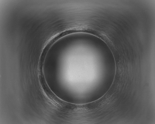 X0000058810536200510031349