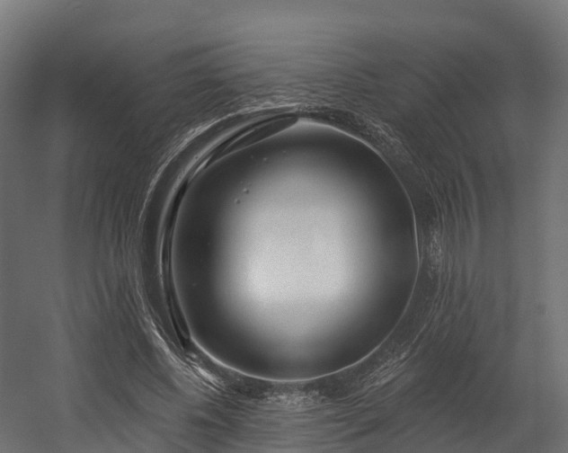 X0000058810540200510031349