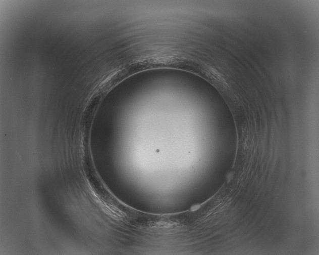 X0000058810542200510031349