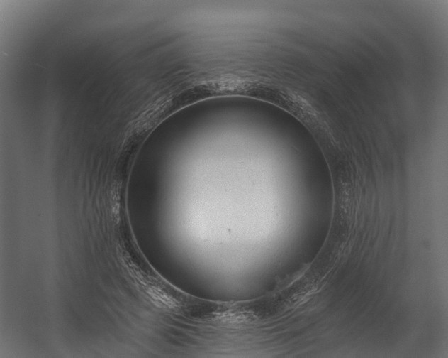 X0000058810545200510031349