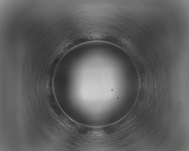 X0000058810548200510031349