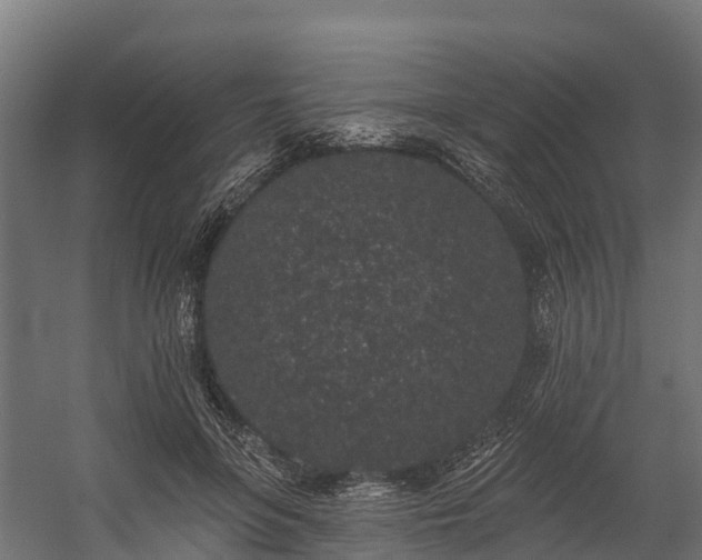 X0000058810551200510031349