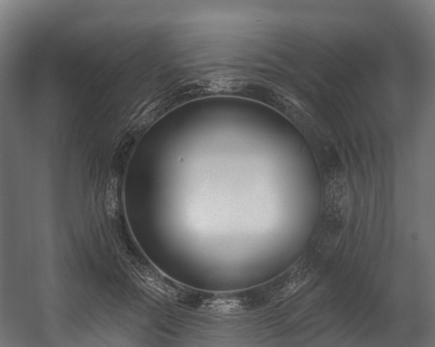 X0000058810554200510031350