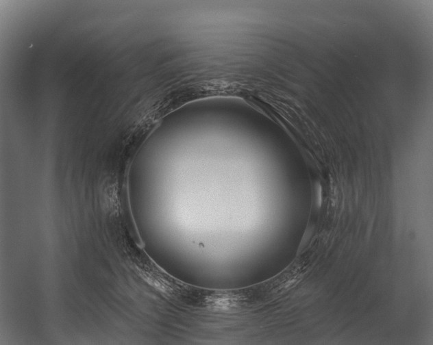 X0000058810564200510031350