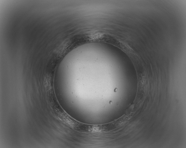 X0000058810565200510031350