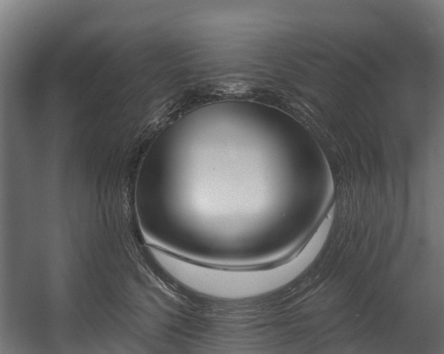 X0000058810568200510031350