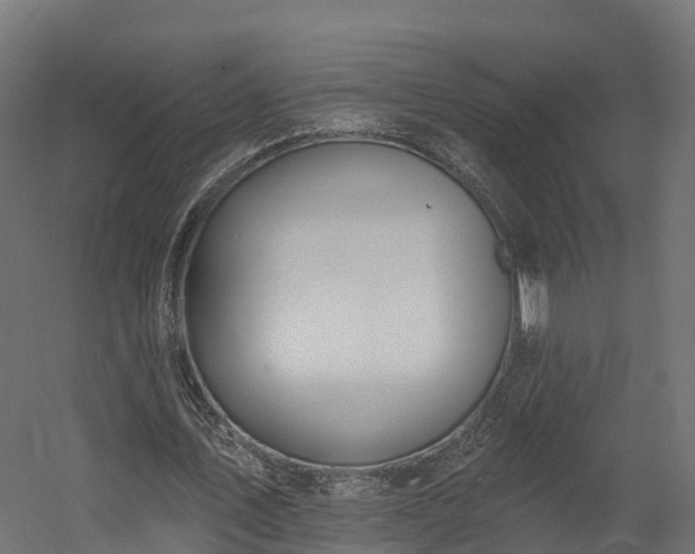 X0000058810579200510031349