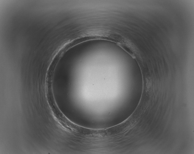 X0000058810580200510031349