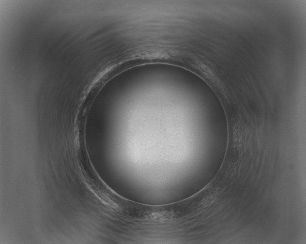 X0000058810584200510031349