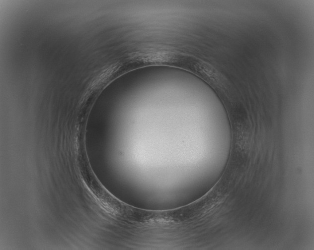 X0000058810586200510031349