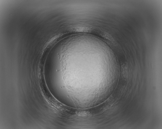 X0000058810587200510031349