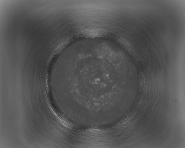 X0000058810590200510031349