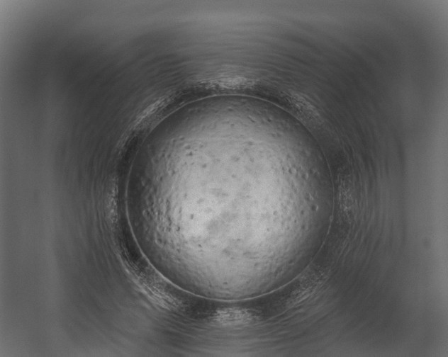 X0000058810591200510031349