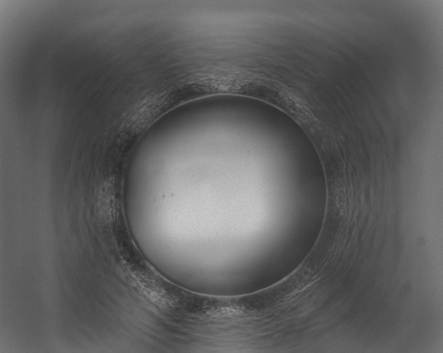 X0000058810594200510031349