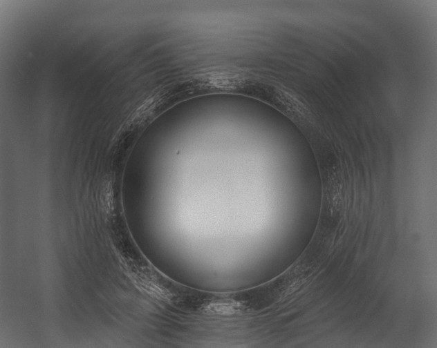 X0000058810595200510031349