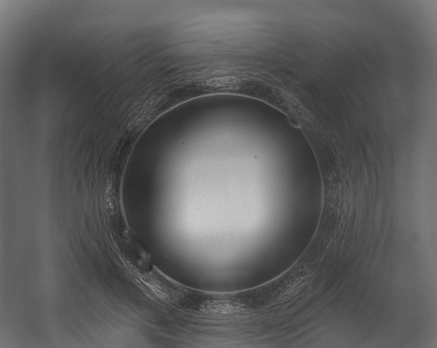 X0000058810597200510031349