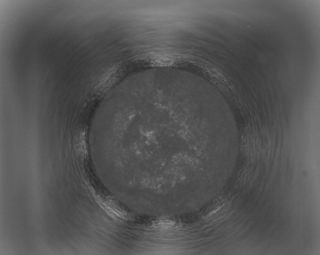 X0000058810598200510031349