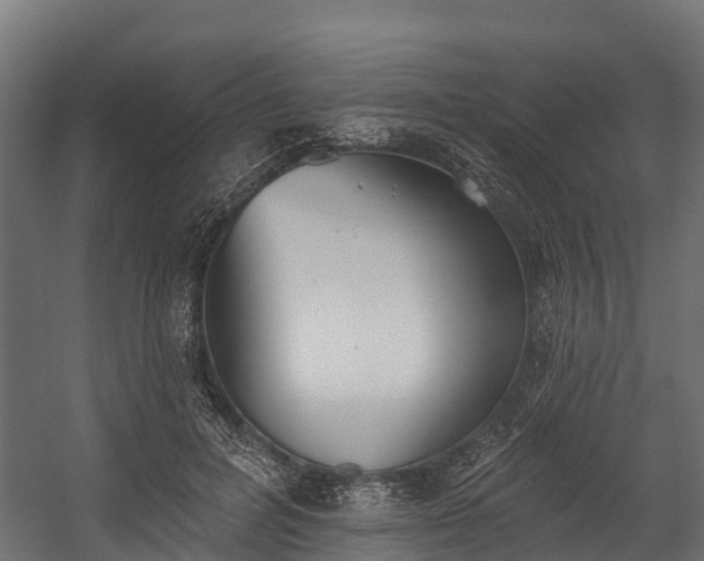 X0000058810600200510031349