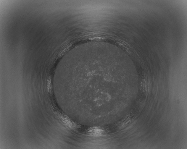 X0000058810610200510031349