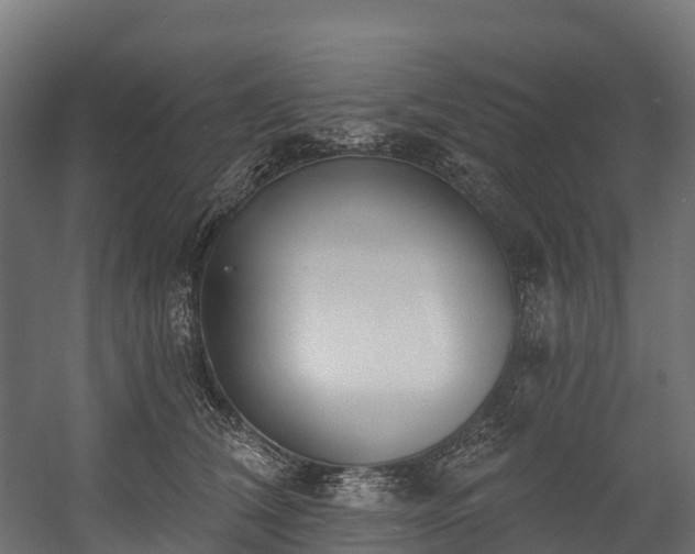 X0000058810612200510031348