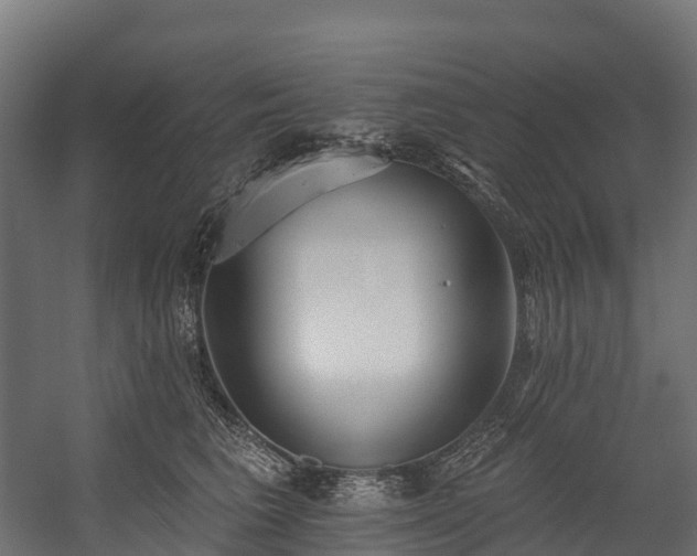 X0000058810613200510031348