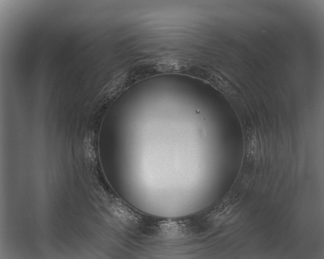 X0000058810616200510031348