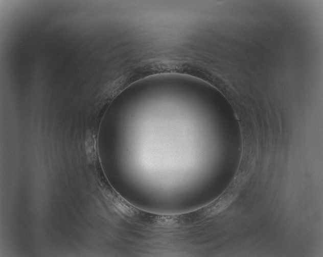 X0000058810624200510031348