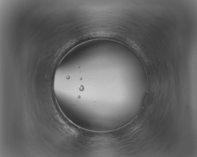 X0000058810625200510031347