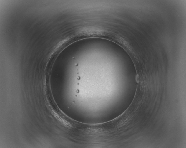 X0000058810629200510031348