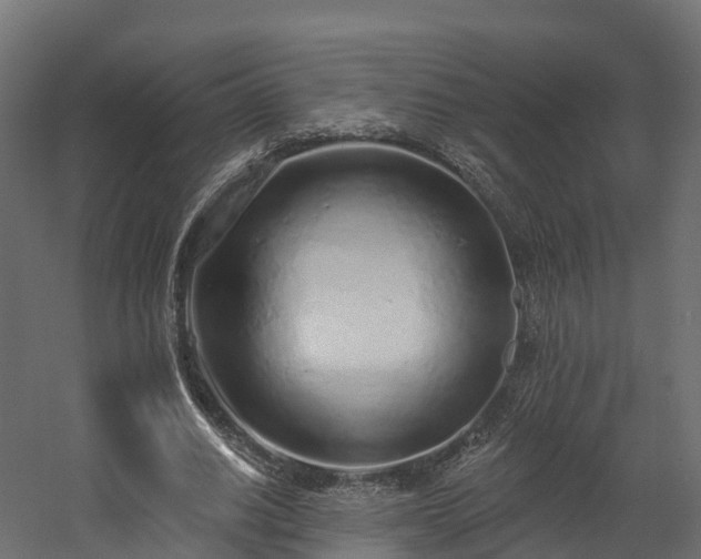 X0000058810630200510031348