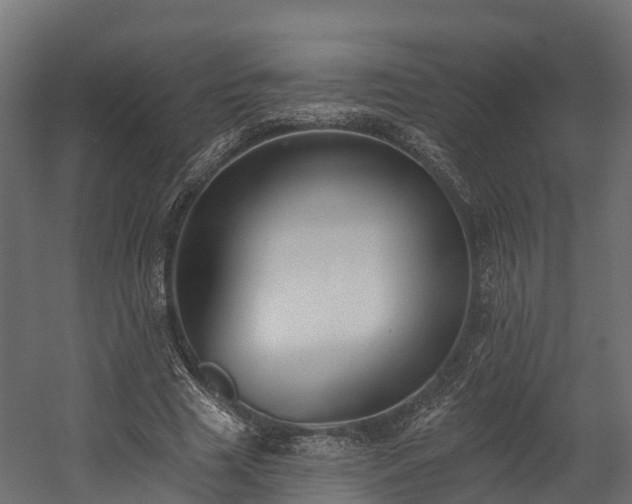 X0000058810633200510031348