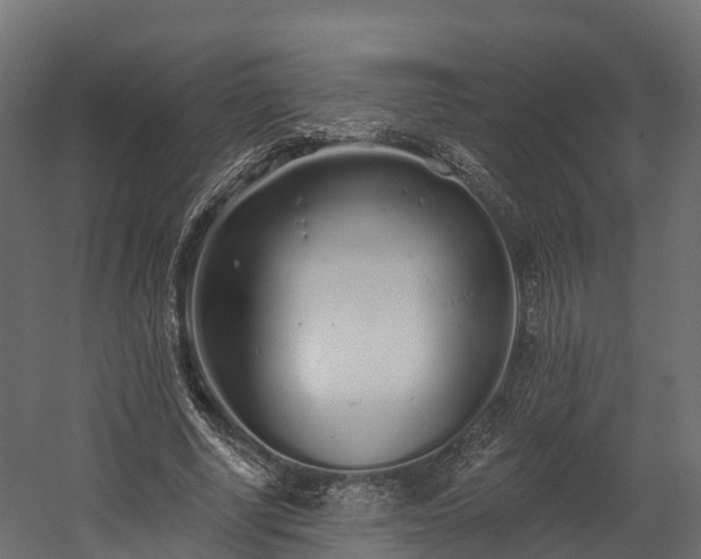 X0000058810634200510031348