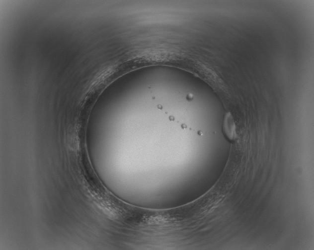 X0000058810635200510031348