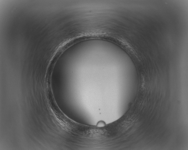 X0000058810636200510031348