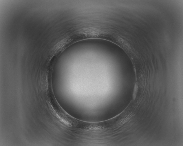 X0000058810638200510031348