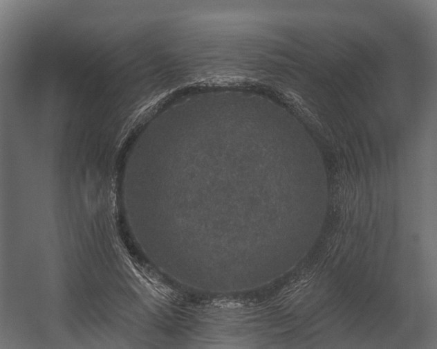 X0000058810640200510031348